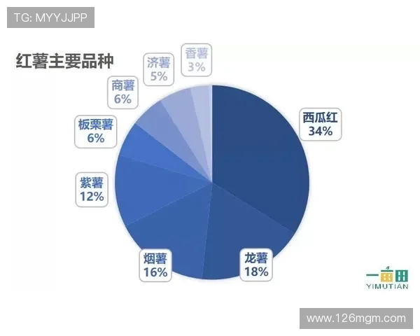 如何选择可靠的博彩公司？排名告诉你答案